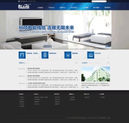 标顶官网全新上线 沙漠风网站建设公司倾力打造计算机网络工程新标杆